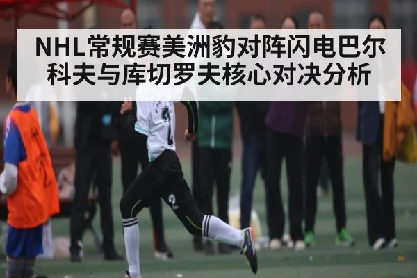 NHL常规赛美洲豹对阵闪电巴尔科夫与库切罗夫核心对决分析（kaiyun）